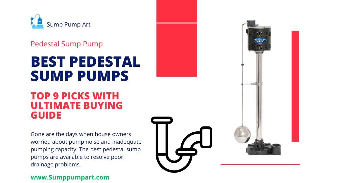 Top 9 Best Pedestal Sump Pumps in 2024