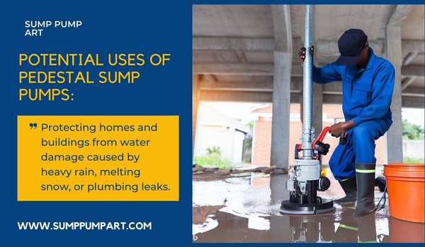 Potential Uses of Pedestal Sump Pumps, What is a Pedestal Sump Pump